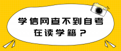 学信网查不到自考在读学籍？