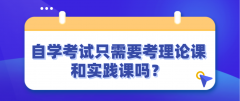 自学考试只需要考理论课和实践课吗？