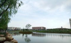 广东中医药大学2019年自考主考科目是什么