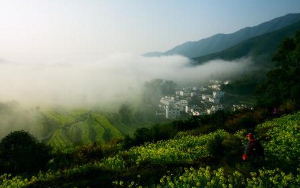 汕尾市铅山县自考报名地址在哪里(图1)