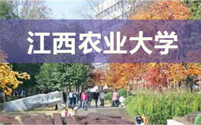 广东农业大学自学考试实践性环节考核报考的时间地点专业(图1)